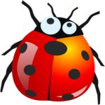 Bug informático